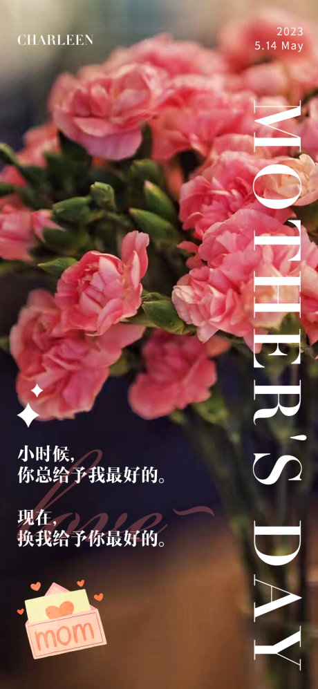 源文件下载【母亲节海报】编号：74260016510545896