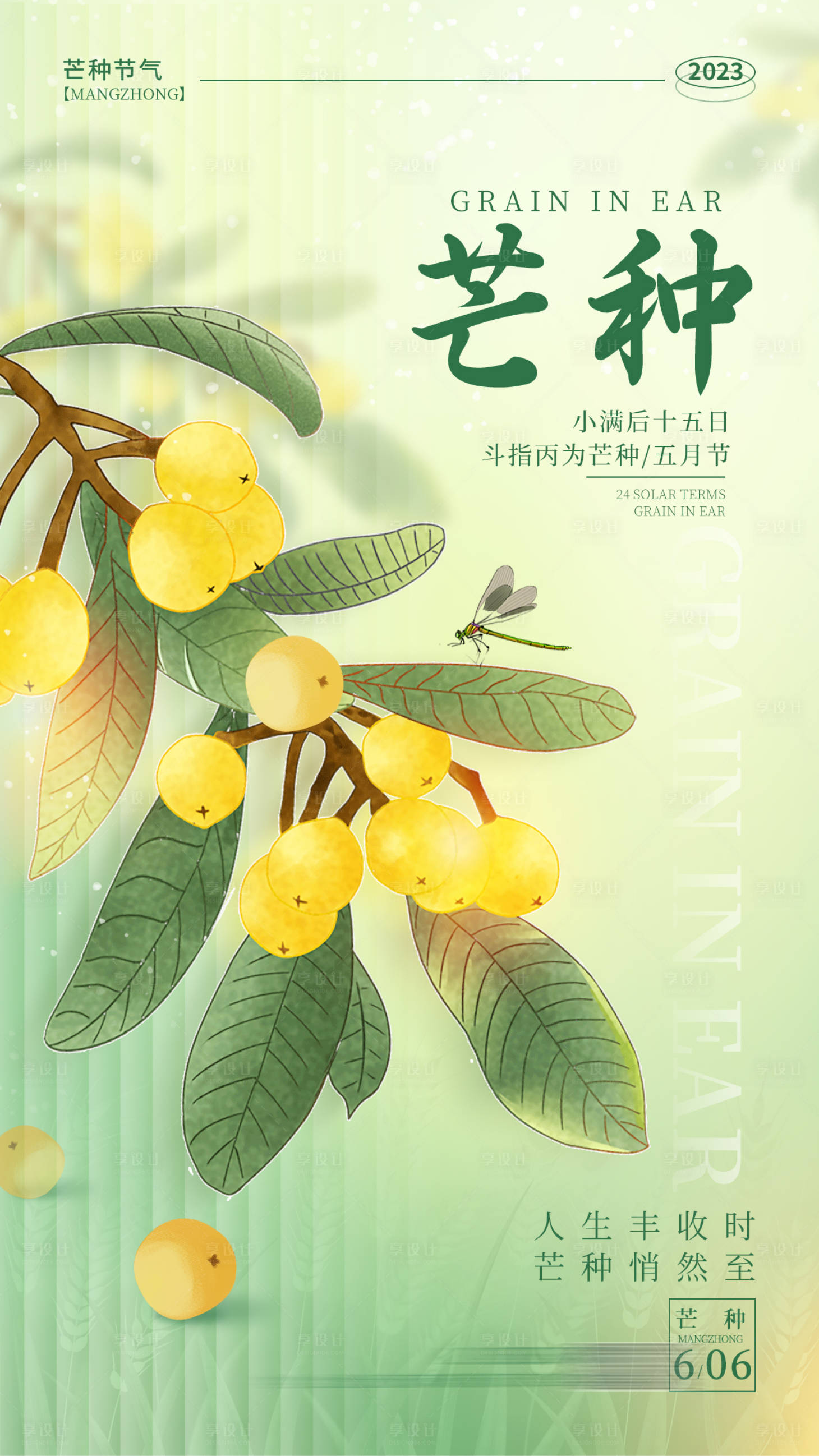 源文件下载【芒种节气海报】编号：57660017173114409