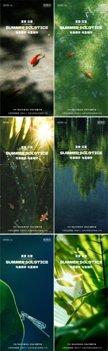 源文件下載【夏至 】編號：41290017187872408