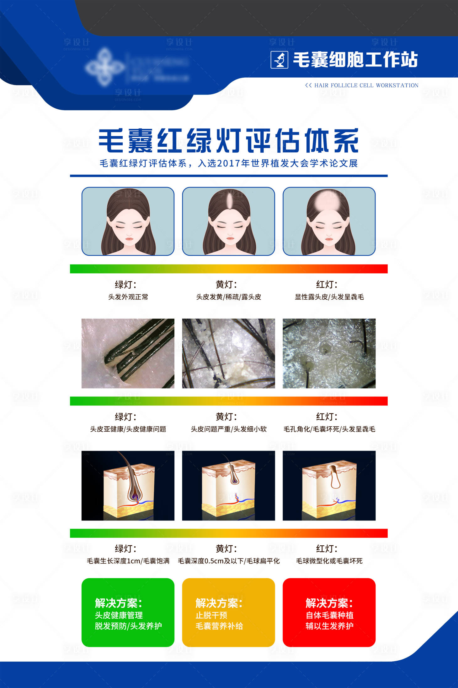 源文件下载【享设计】搜索编号：45520017418911777【毛囊红绿灯评估体系】