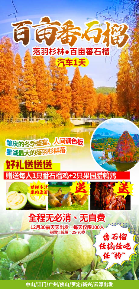 源文件下载【百亩番石榴海报】编号：83800017324226267
