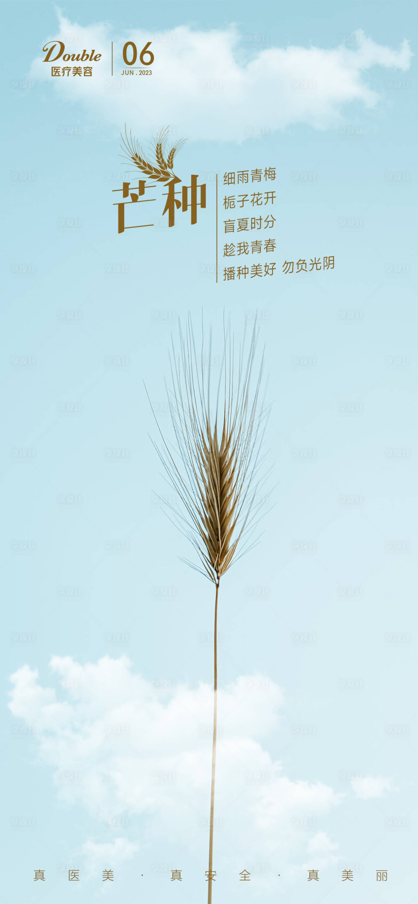 源文件下载【享设计】搜索编号：74710017108714882【医美芒种节气海报】