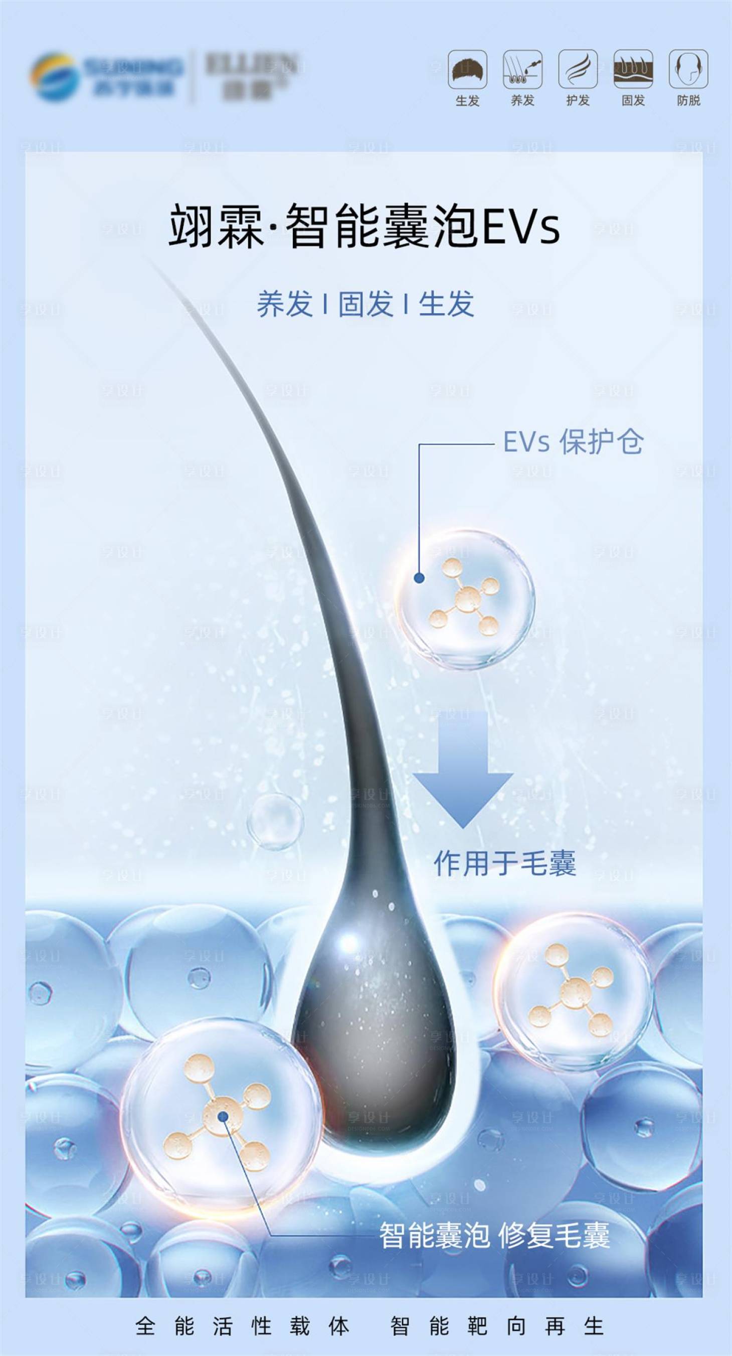 源文件下載【享設計】搜索編號：83430017214603400【毛發海報】