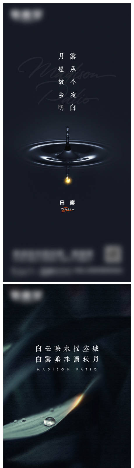 源文件下载【享设计】搜索编号：61980017721858201【白露海报】