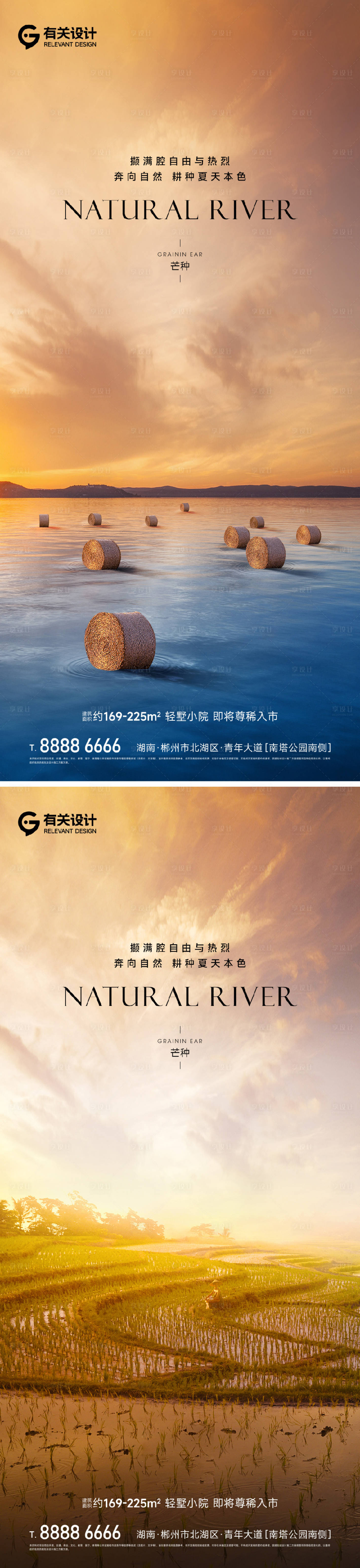 源文件下载【地产芒种节气海报】编号：93350017086242269