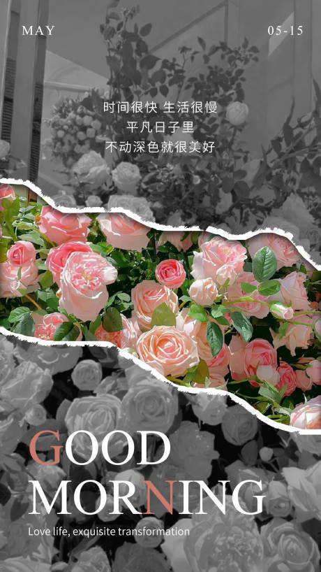 源文件下载【早安图】编号：81020017166558758