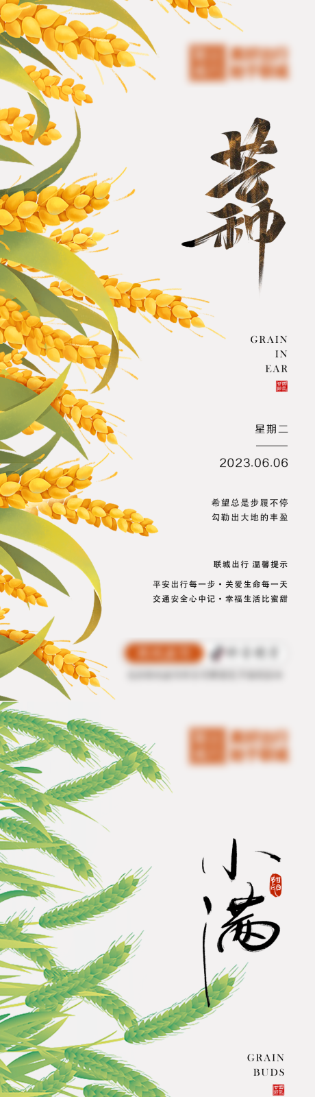 源文件下载【芒种小满海报】编号：47100017097959647