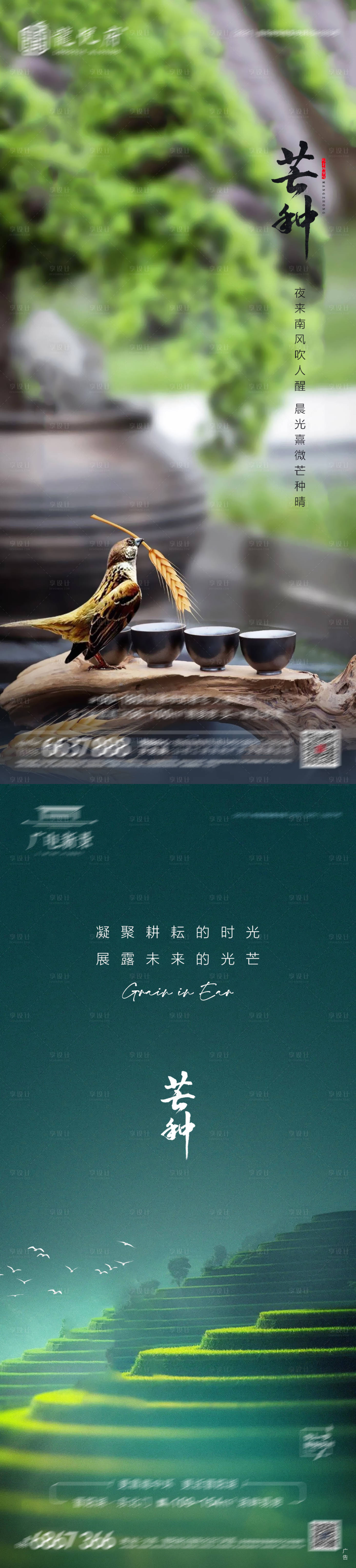 源文件下载【地产芒种系列海报】编号：80550017179289733