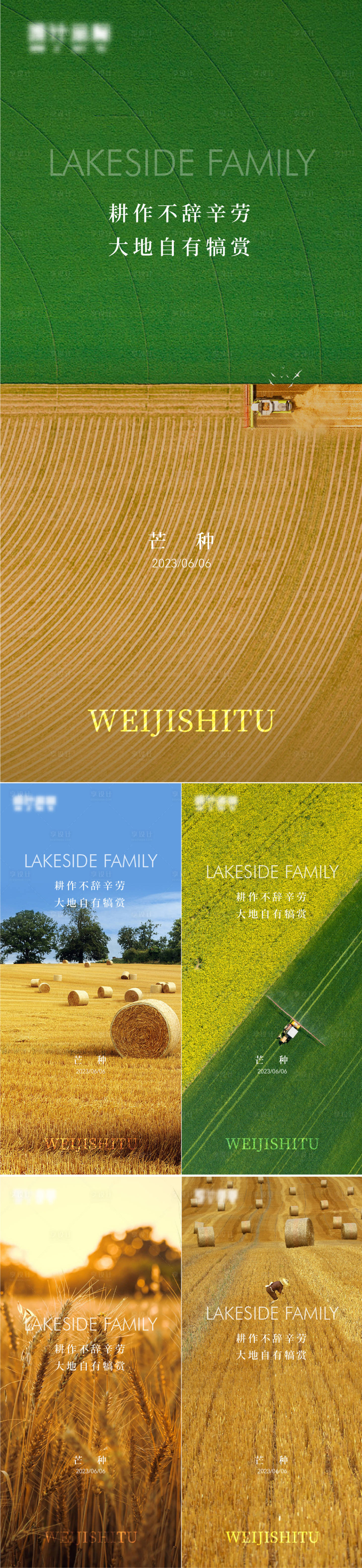 源文件下載【享設(shè)計】搜索編號：35810017103296168【芒種海報】