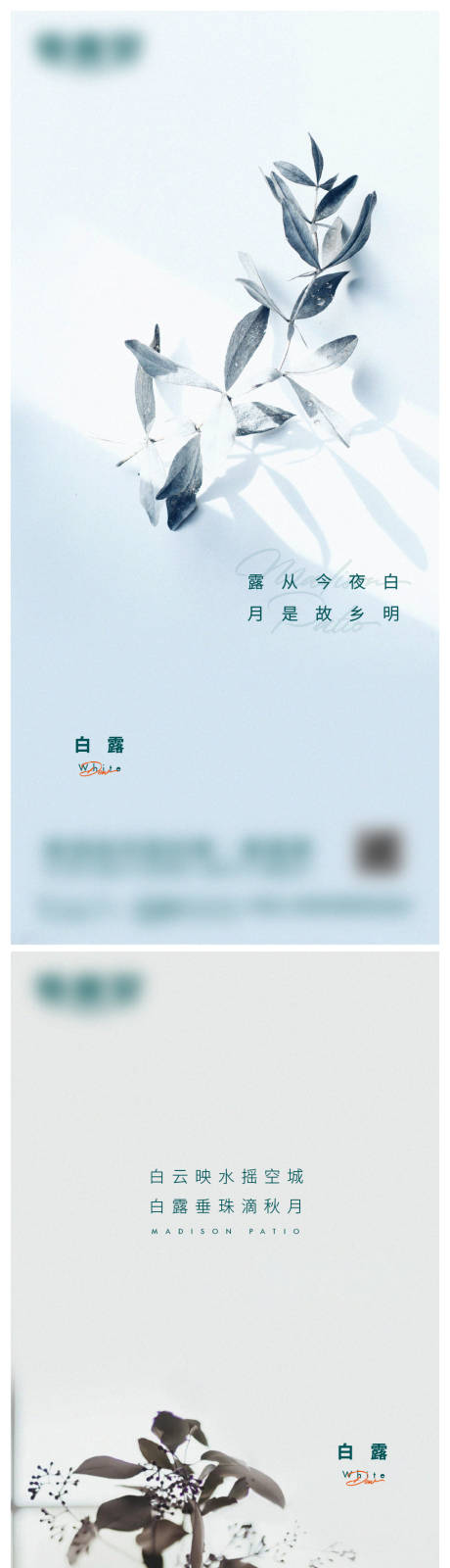 源文件下載【享設計】搜索編號：45830017721803138【白露微信海報】