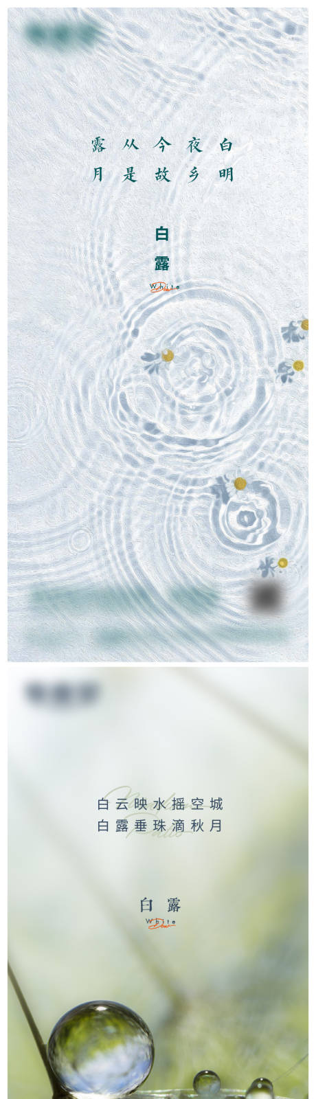 源文件下载【白露海报】编号：90490017724308209