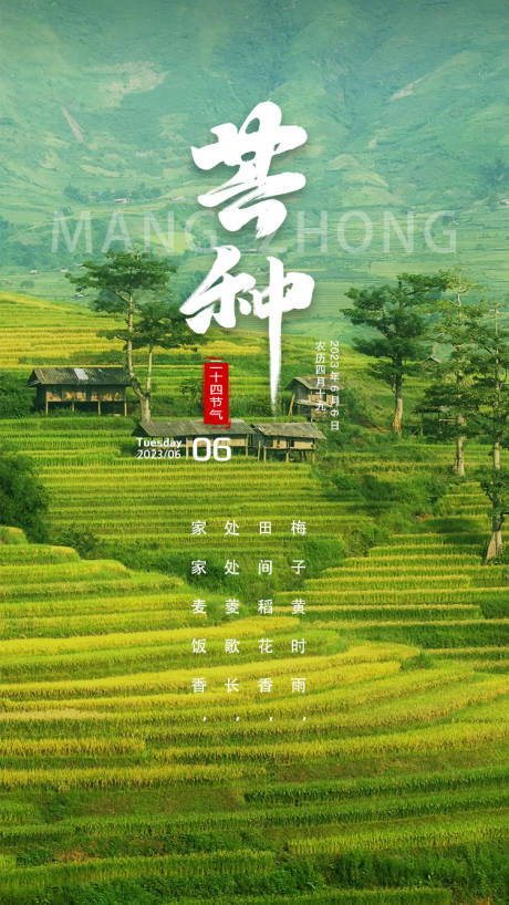 源文件下载【芒种海报】编号：47300017163972206