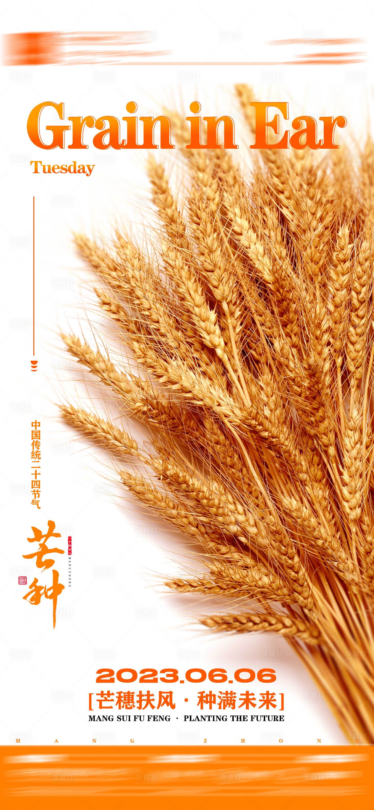 源文件下載【享設計】搜索編號：43260017173576810【芒種海報】