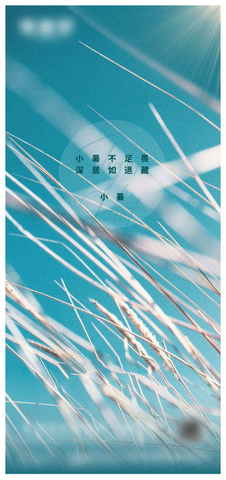 源文件下载【小暑海报】编号：12750017608116219