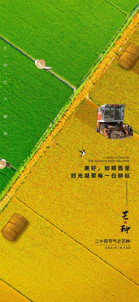 源文件下载【芒种节气海报】编号：74340017118539429