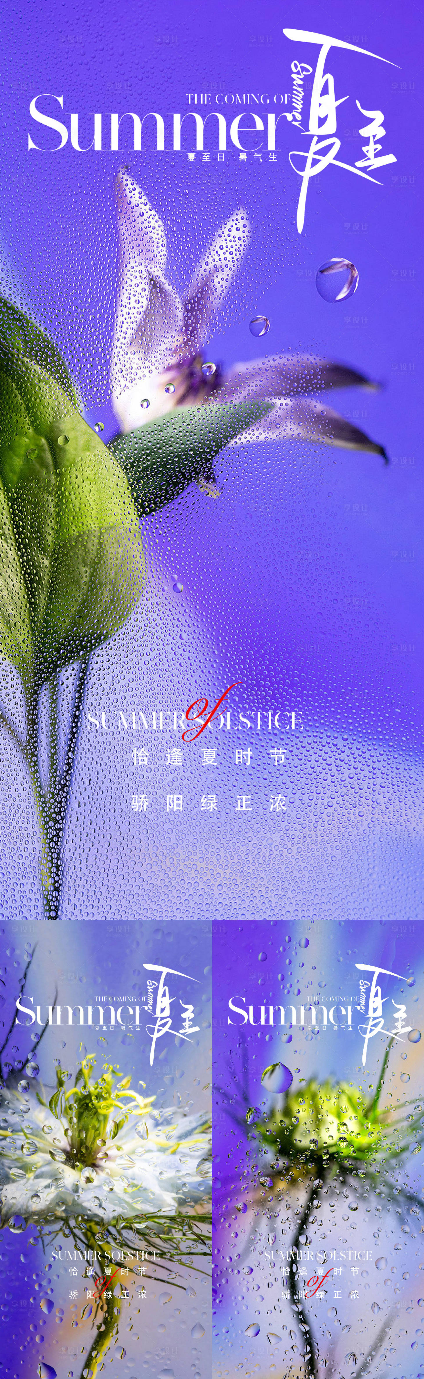 源文件下載【地產花卉夏至節氣海報】編號：81990017302664956