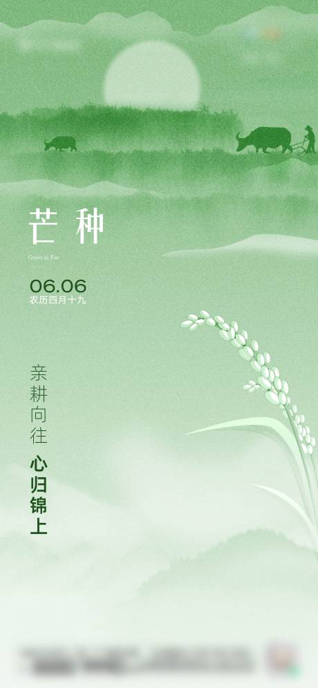 源文件下载【芒种节气海报】编号：33990017161251507