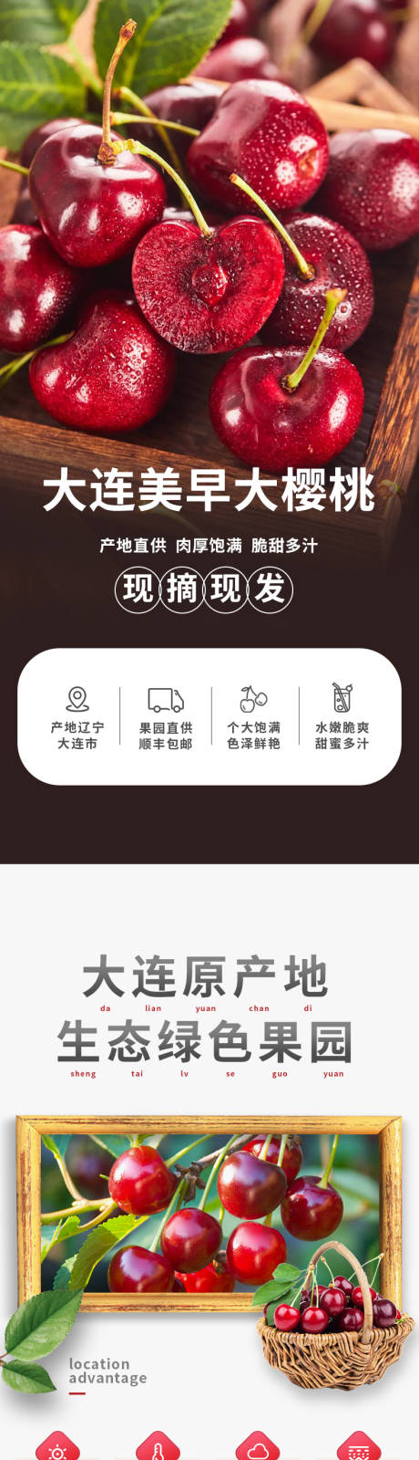 樱桃车厘子详情页