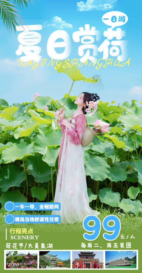 源文件下载【夏日赏荷海报】编号：94820017552978919