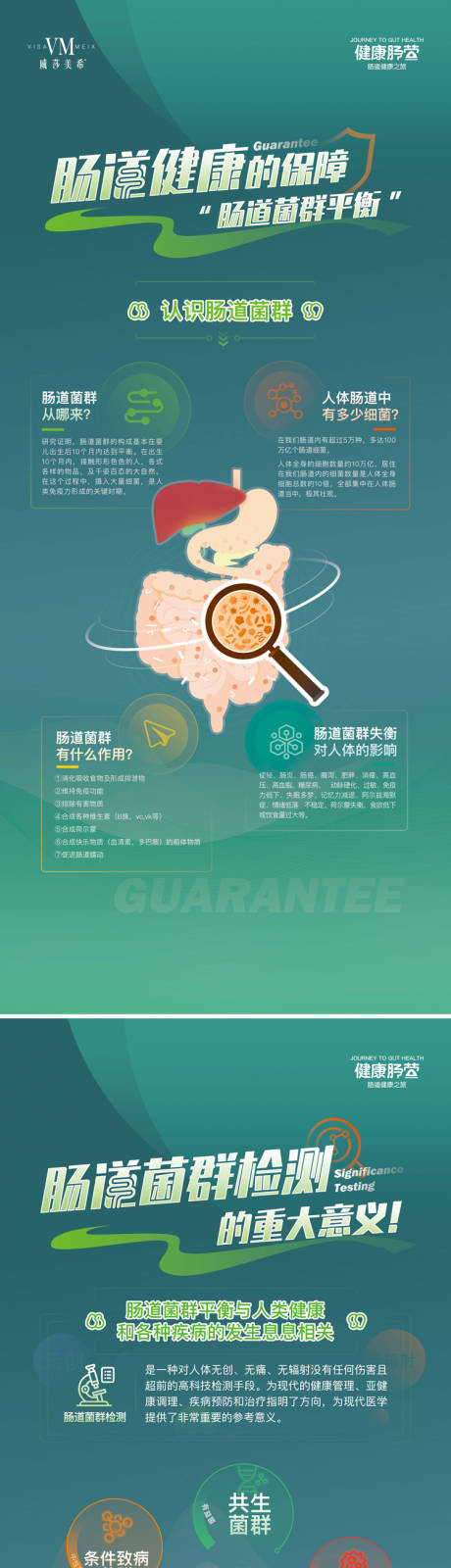 源文件下载【享设计】搜索编号：78380017535512528【肠道易拉宝】
