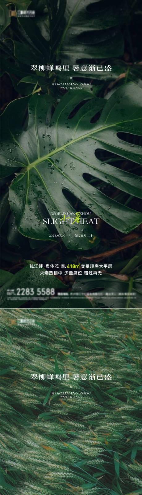 源文件下载【享设计】搜索编号：17690017723859168【二十四节气小暑海报】