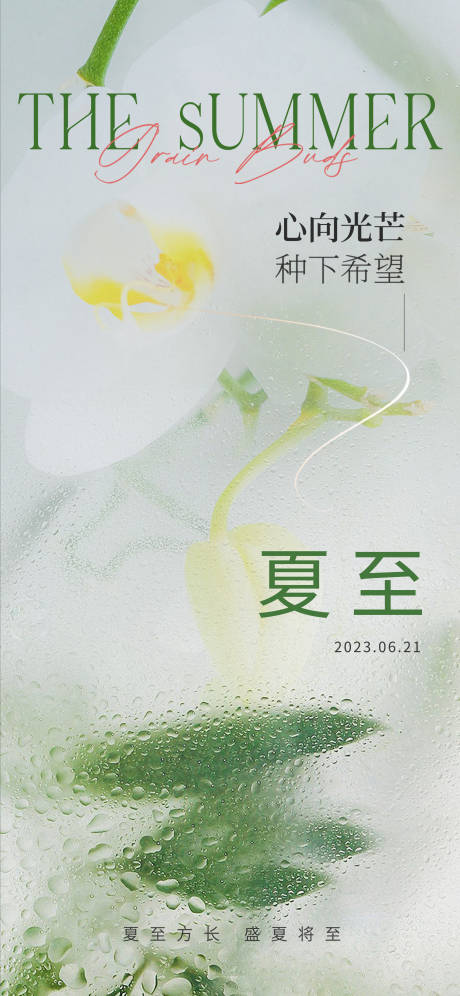 源文件下載【享設(shè)計(jì)】搜索編號(hào)：64270017565447904【夏至節(jié)氣海報(bào)】