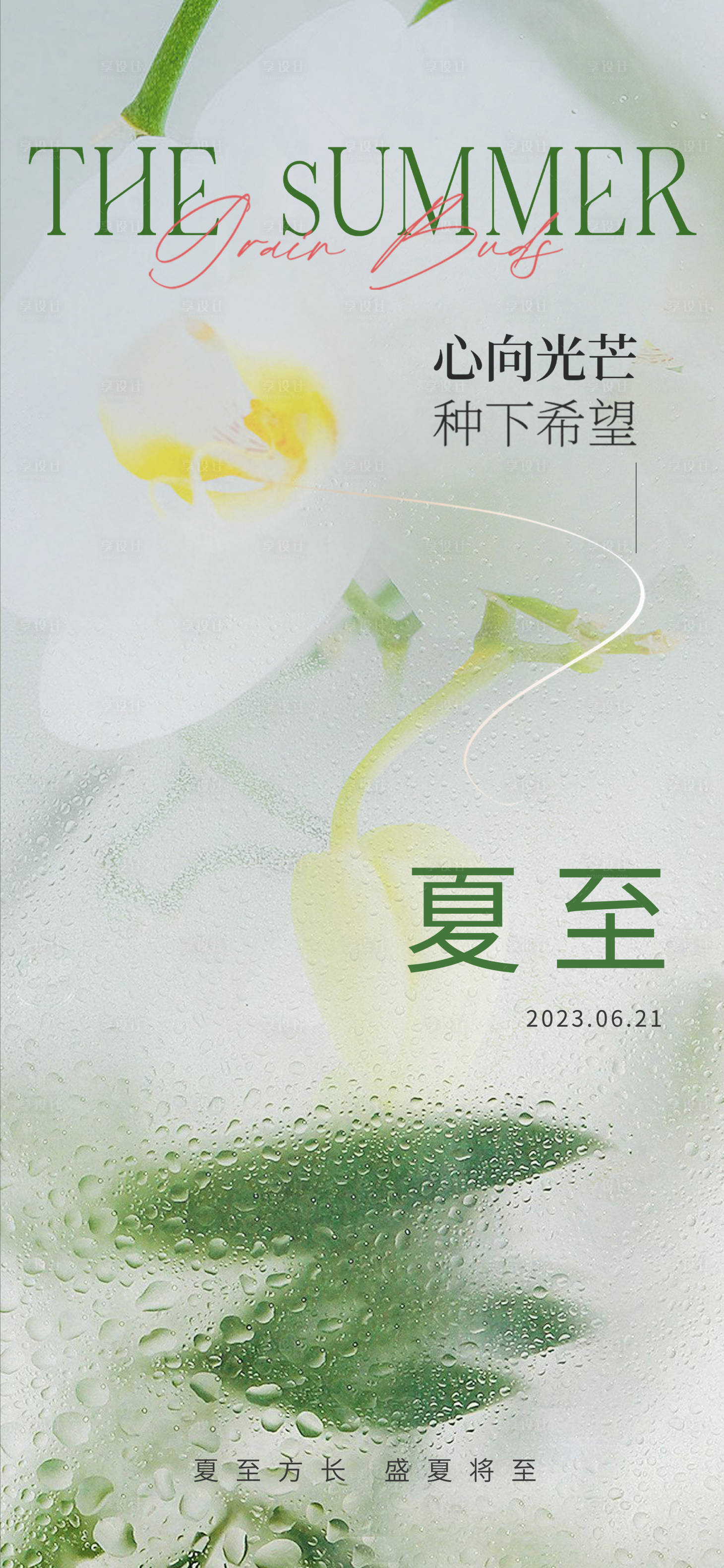 源文件下载【享设计】搜索编号：64270017565447904【夏至节气海报】