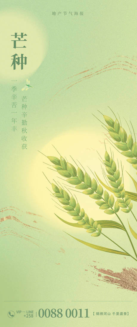 源文件下载【地产芒种节气海报】编号：96160017135959323