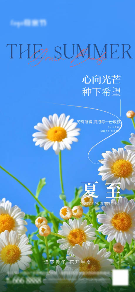 源文件下载【夏至海报】编号：85680017217127553