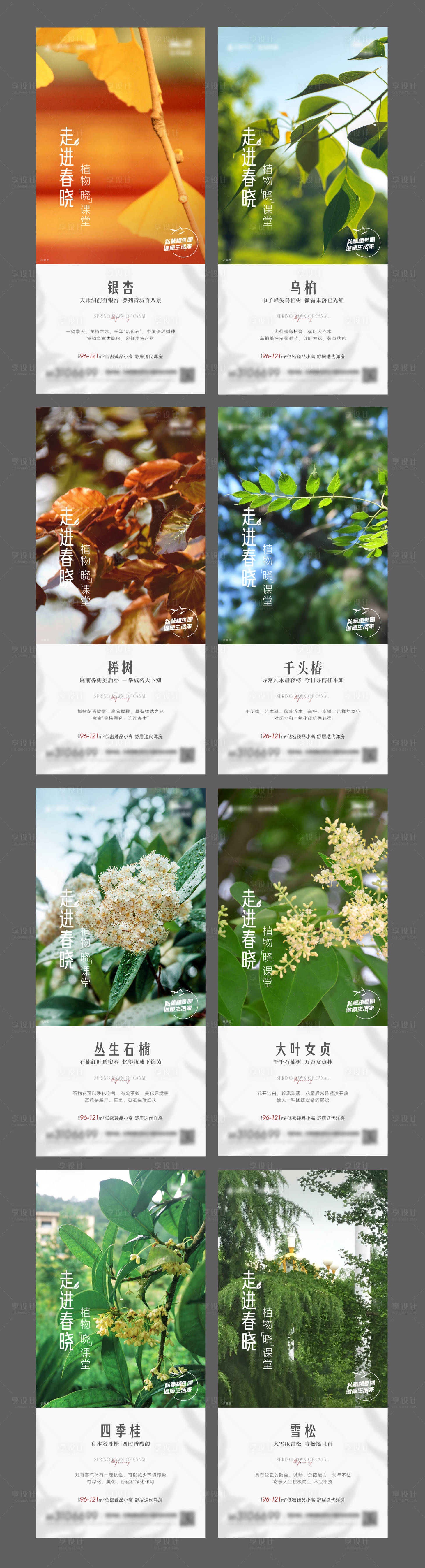 源文件下载【园林景观植被系列单图】编号：51740017066832233
