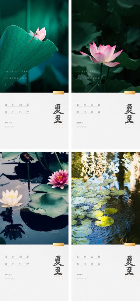 源文件下載【地產夏至節氣海報】編號：34370017341675989