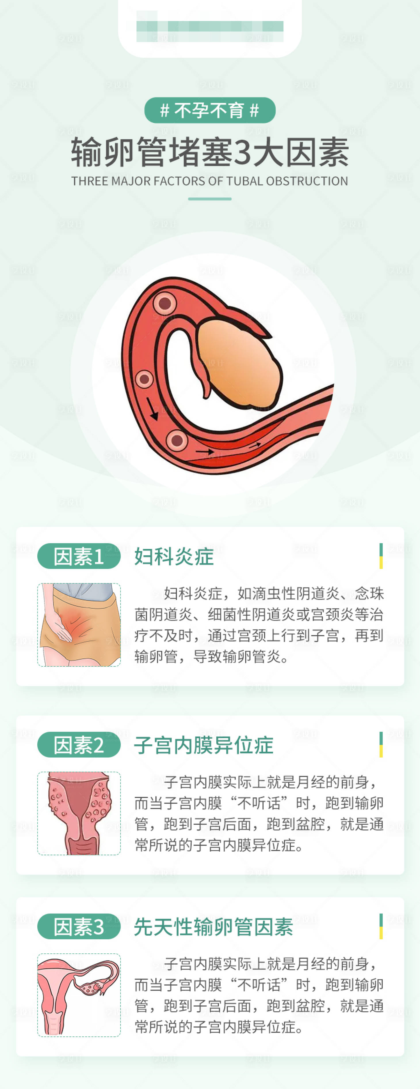 源文件下载【备孕科普海报】编号：69520017196787679