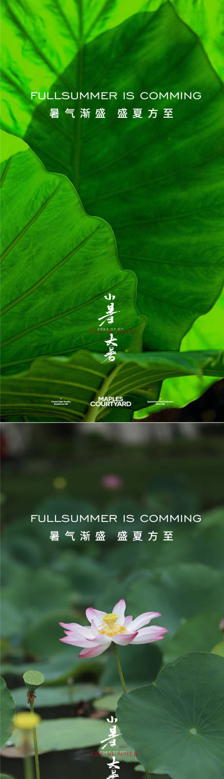 源文件下载【享设计】搜索编号：52000017723121040【小暑大暑海报】