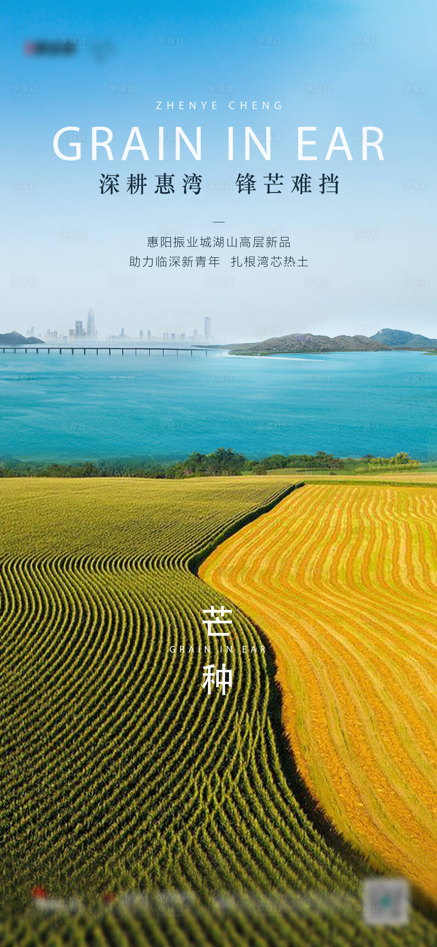 源文件下载【芒种海报】编号：11710017319676067