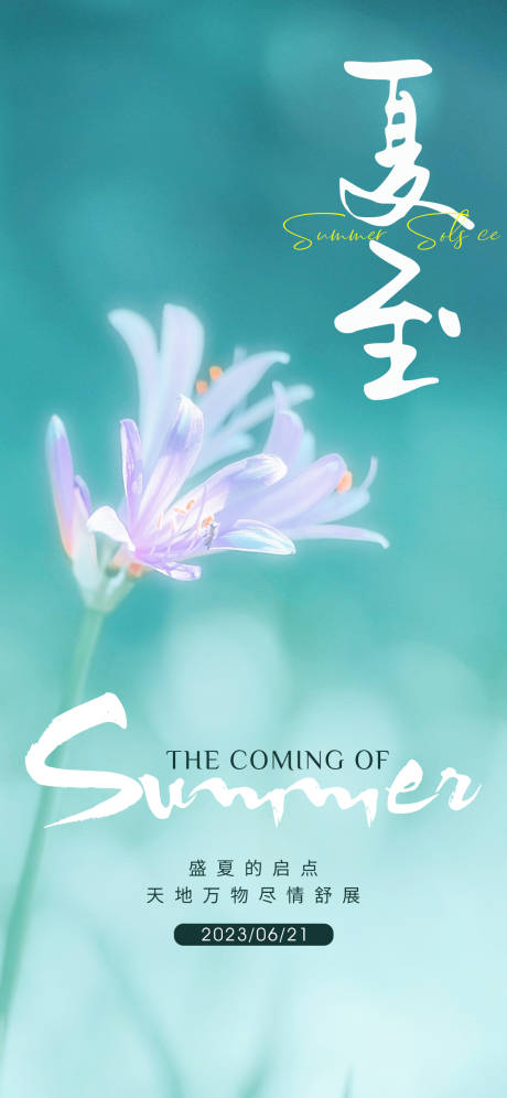 源文件下载【夏至节气海报】编号：88390017422896130