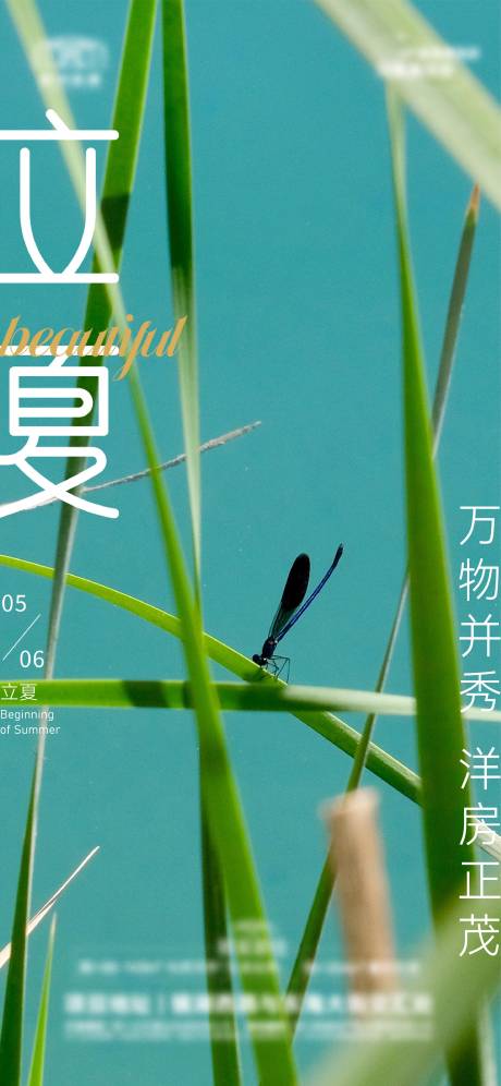 源文件下载【立夏海报】编号：81160017147569832