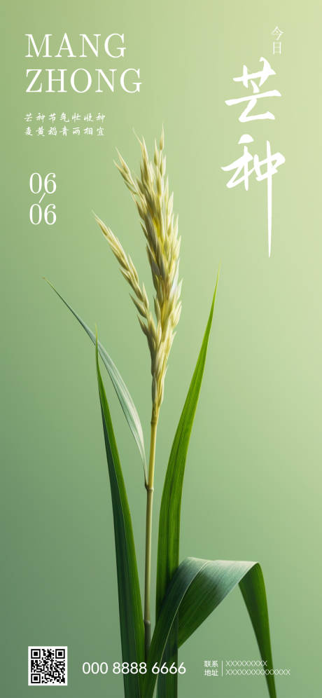 源文件下载【芒种节气海报】编号：48890017140836485