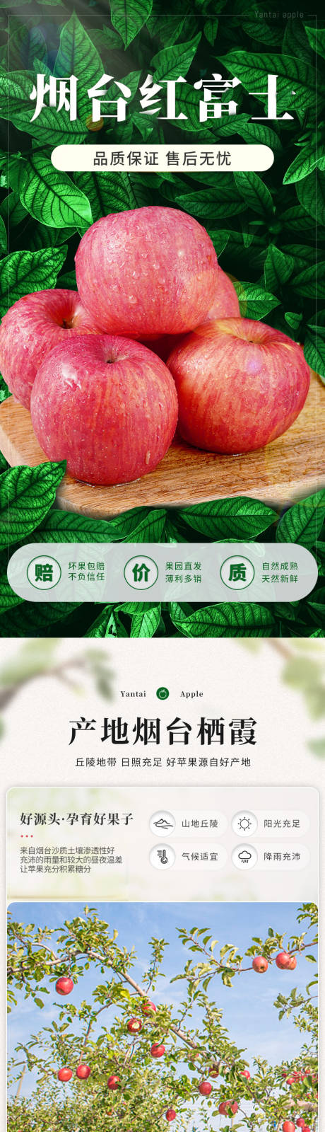 源文件下载【享设计】搜索编号：91150017460894263【烟台红富士电商详情】