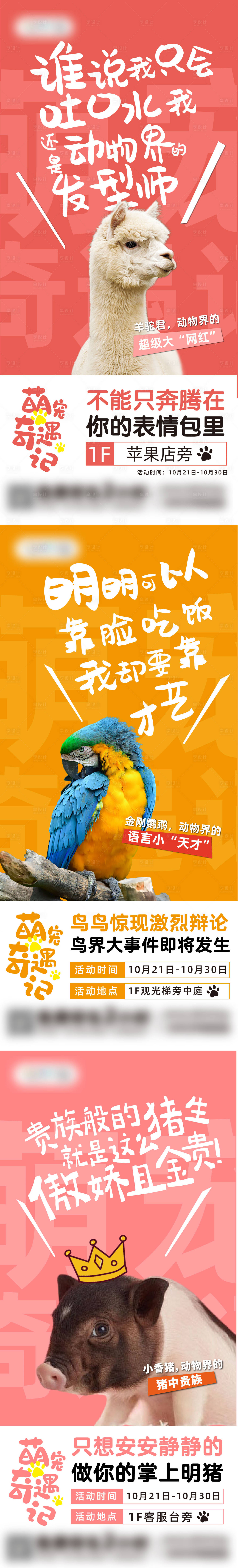 源文件下載【萌寵展宣傳倒計時海報】編號：74510017250253285