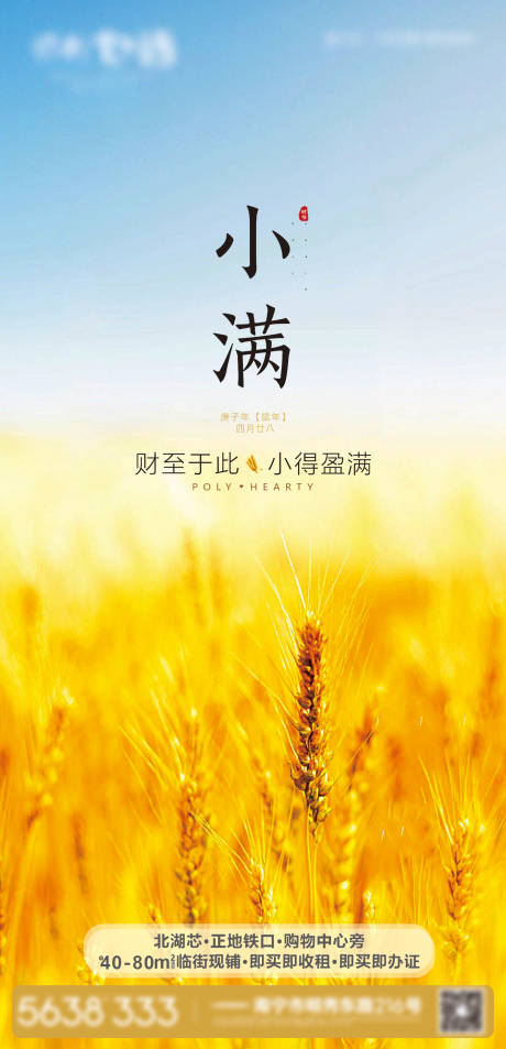 源文件下载【小满节气海报】编号：82780017589566784