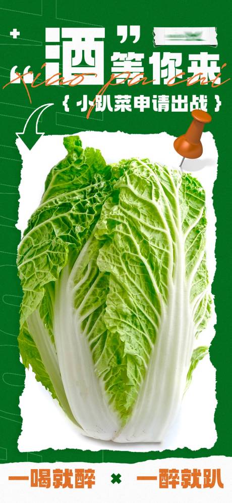 酒吧白菜海报