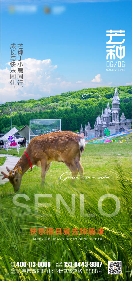 源文件下载【芒种海报】编号：82070017159153163