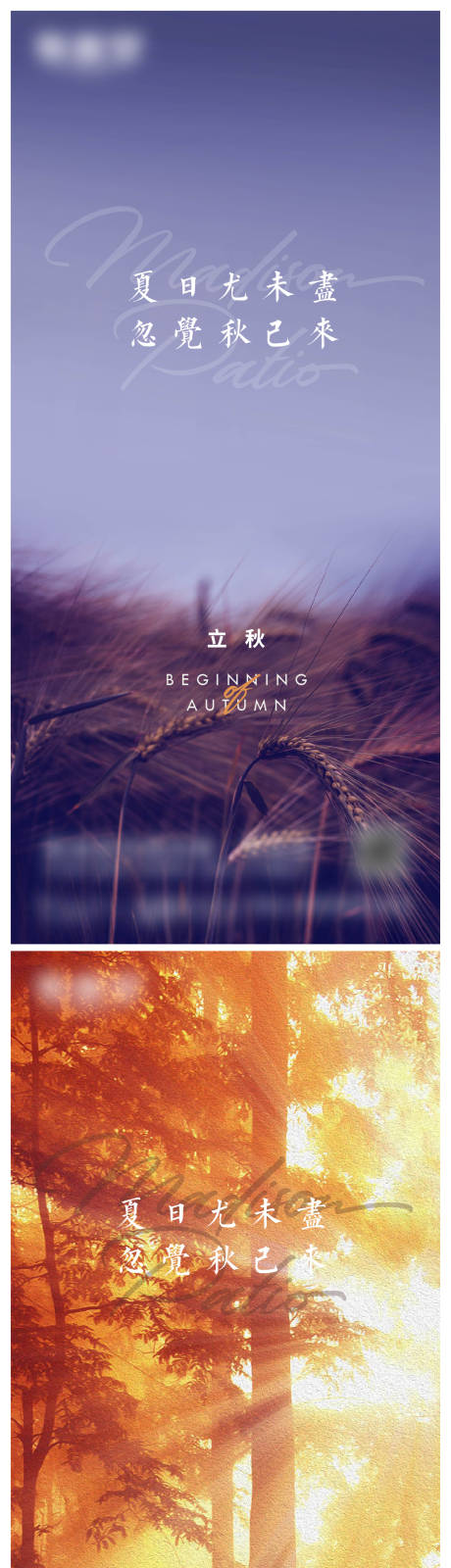 源文件下載【立秋節(jié)氣系列海報(bào)】編號(hào)：14160017424451091