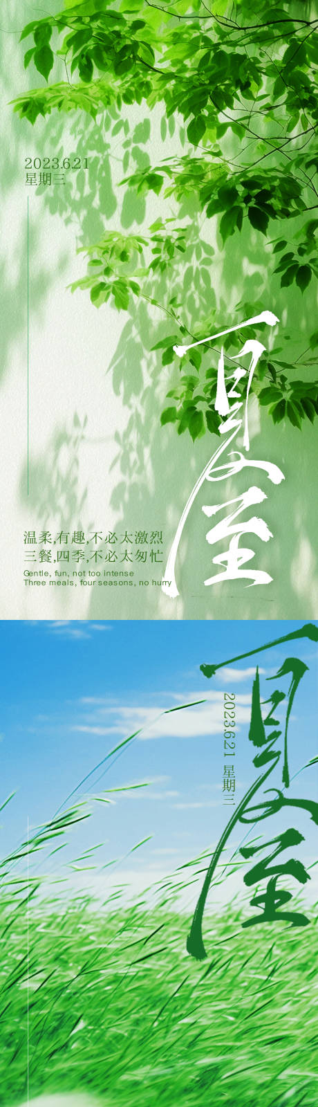 源文件下载【夏至节气海报】编号：74860017736374248
