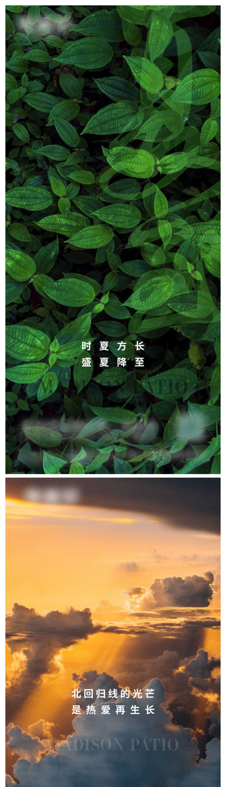源文件下载【享设计】搜索编号：52310017260516392【夏至微信单图海报】