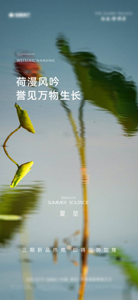 源文件下载【夏至节气海报】编号：74100017696908846
