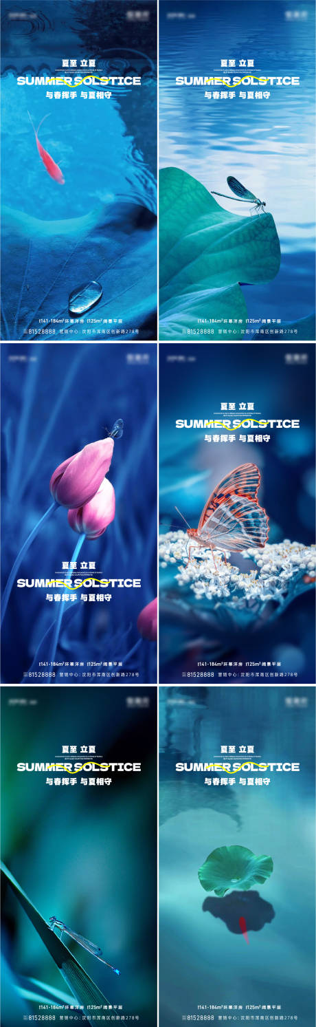 源文件下载【夏至立夏系列海报】编号：48110017182822534