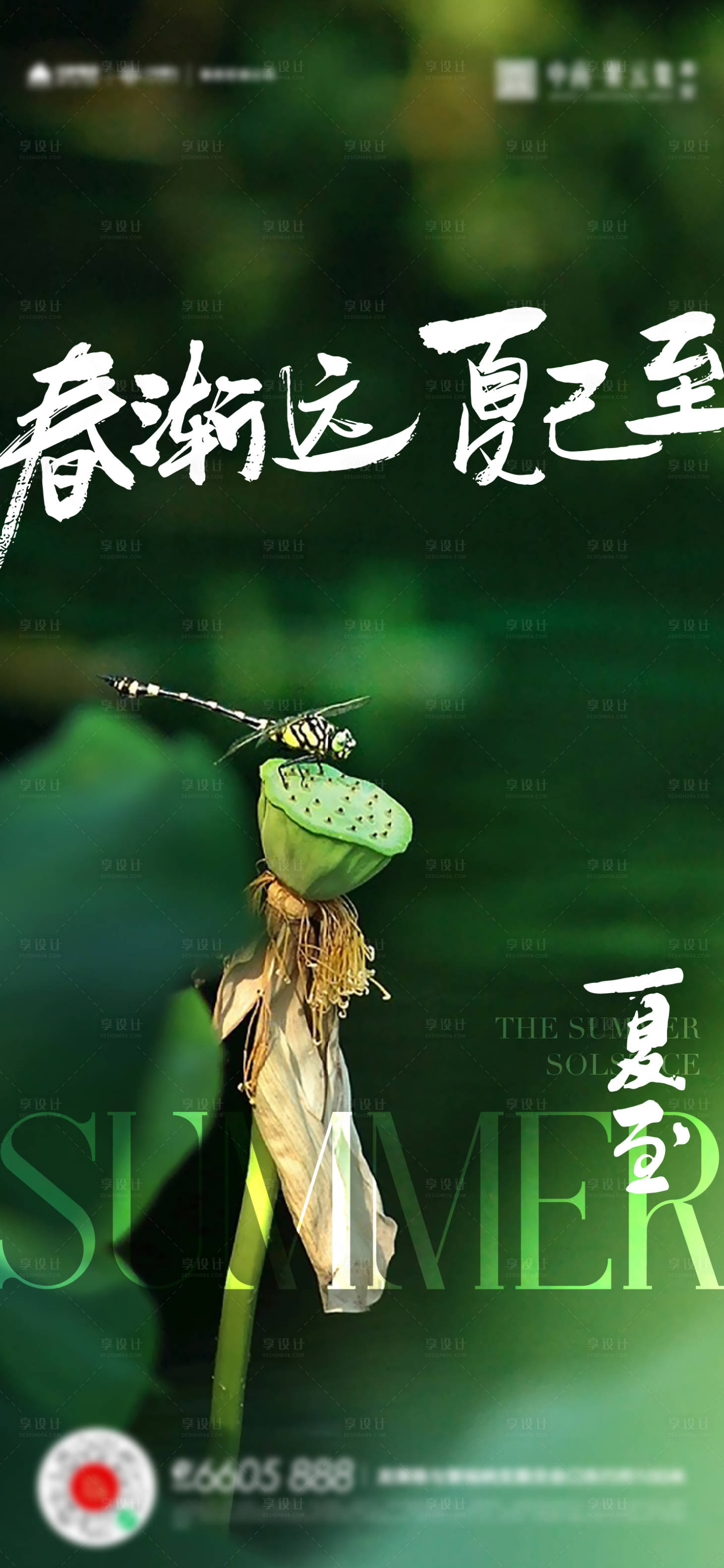 源文件下载【夏至节气海报】编号：56130017497291106