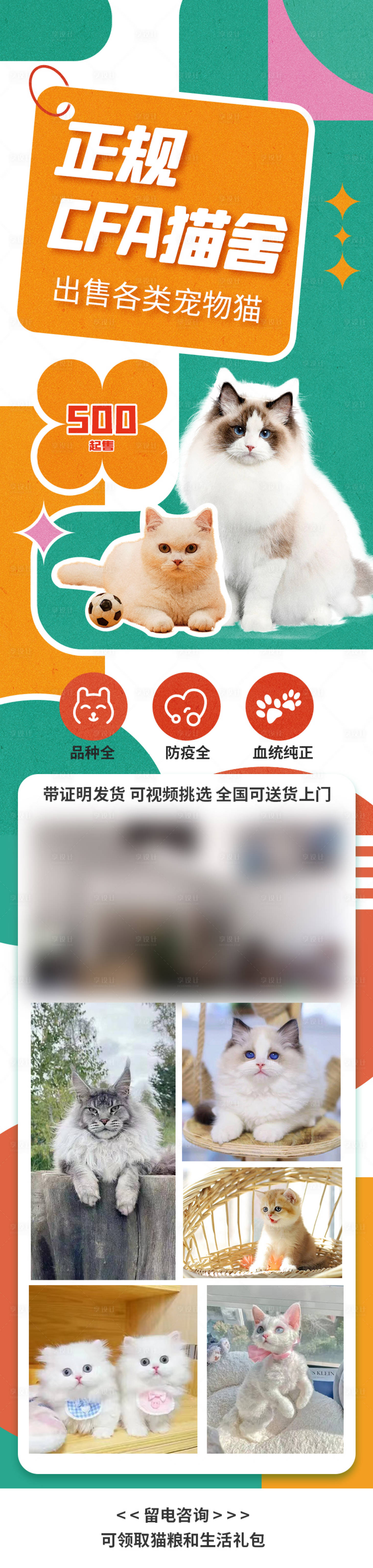 源文件下载【宠物猫咪长图海报】编号：75350017247694454