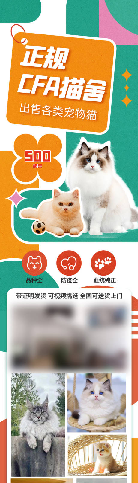 编号：20230608170228626【享设计】源文件下载-宠物猫咪长图海报